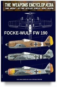 Focke Wulf FW-190 (REMAINDER)